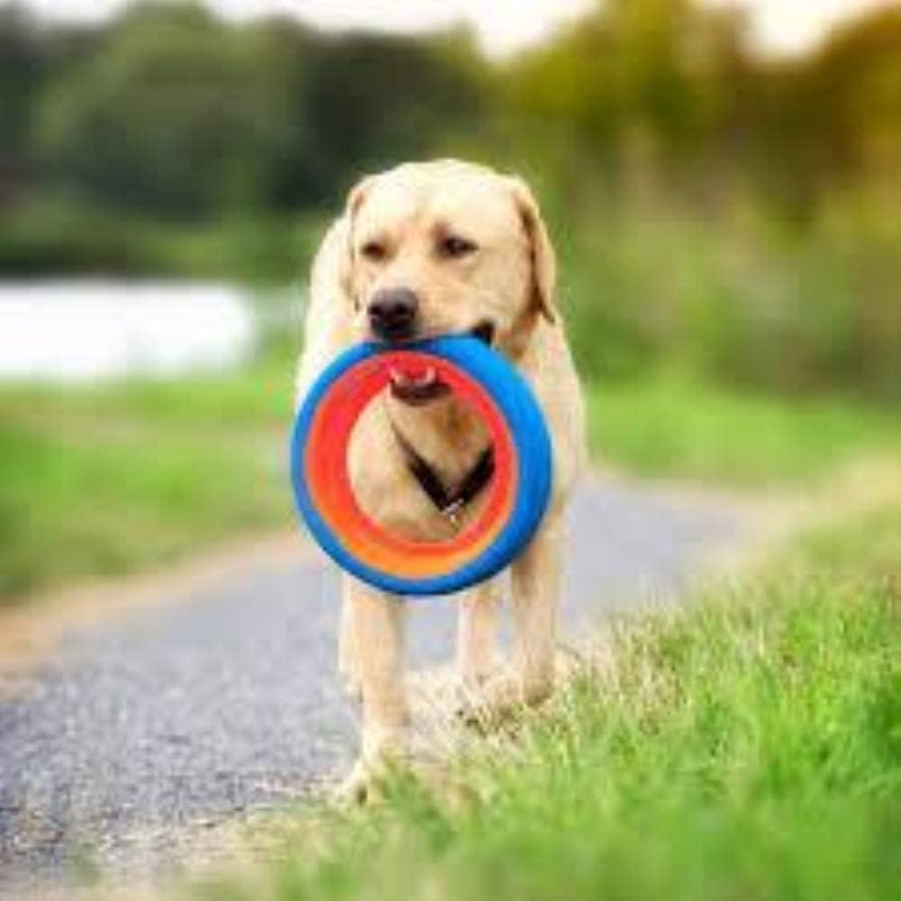 image:imageChuckit Fetch Wheel Outdoor Dog Toy Small For Small BreedsMulti