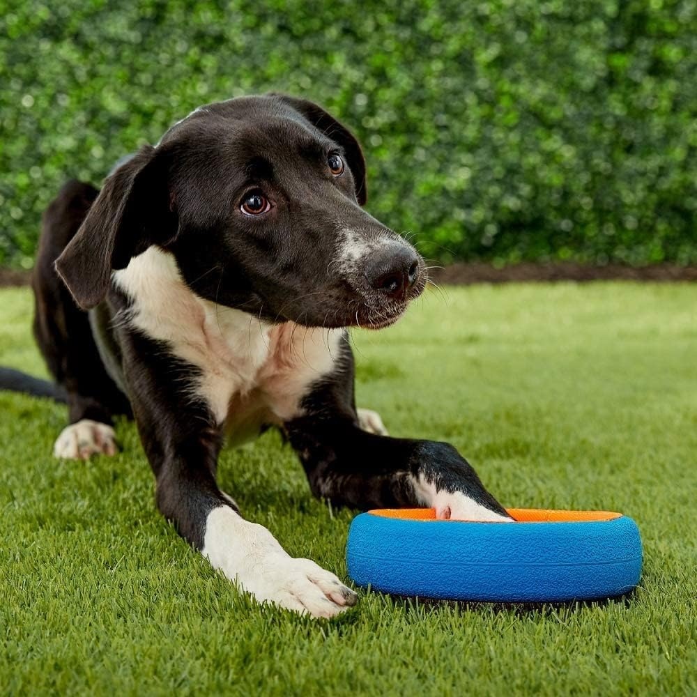image:imageChuckit Fetch Wheel Outdoor Dog Toy Small For Small BreedsMulti