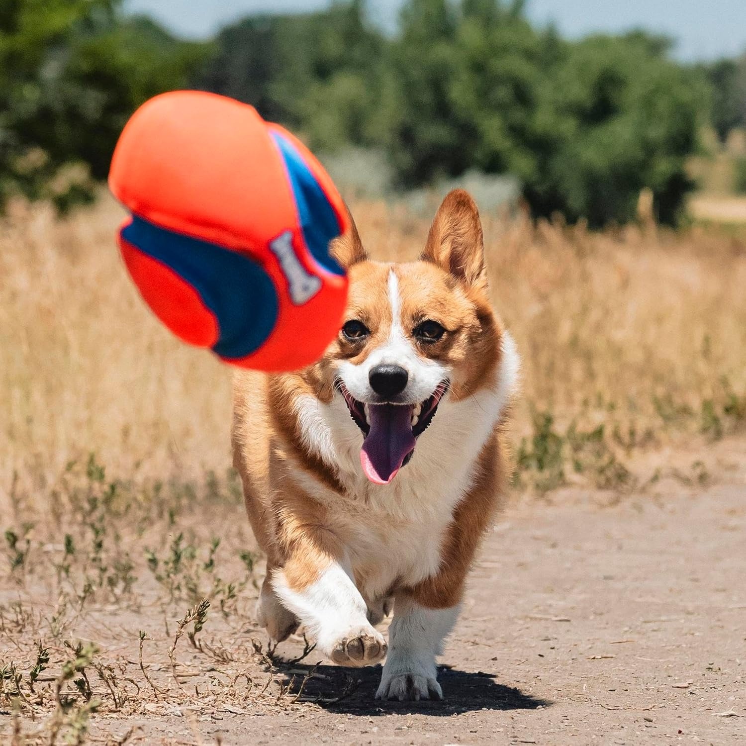image:imageChuckit Fumble Fetch Dog Football Outdoor and Indoor Interactive Dog Toy with Grooved Design for Easy Pickup Made from Durable Rubber Floats in Water Small Orange and BlueSmall