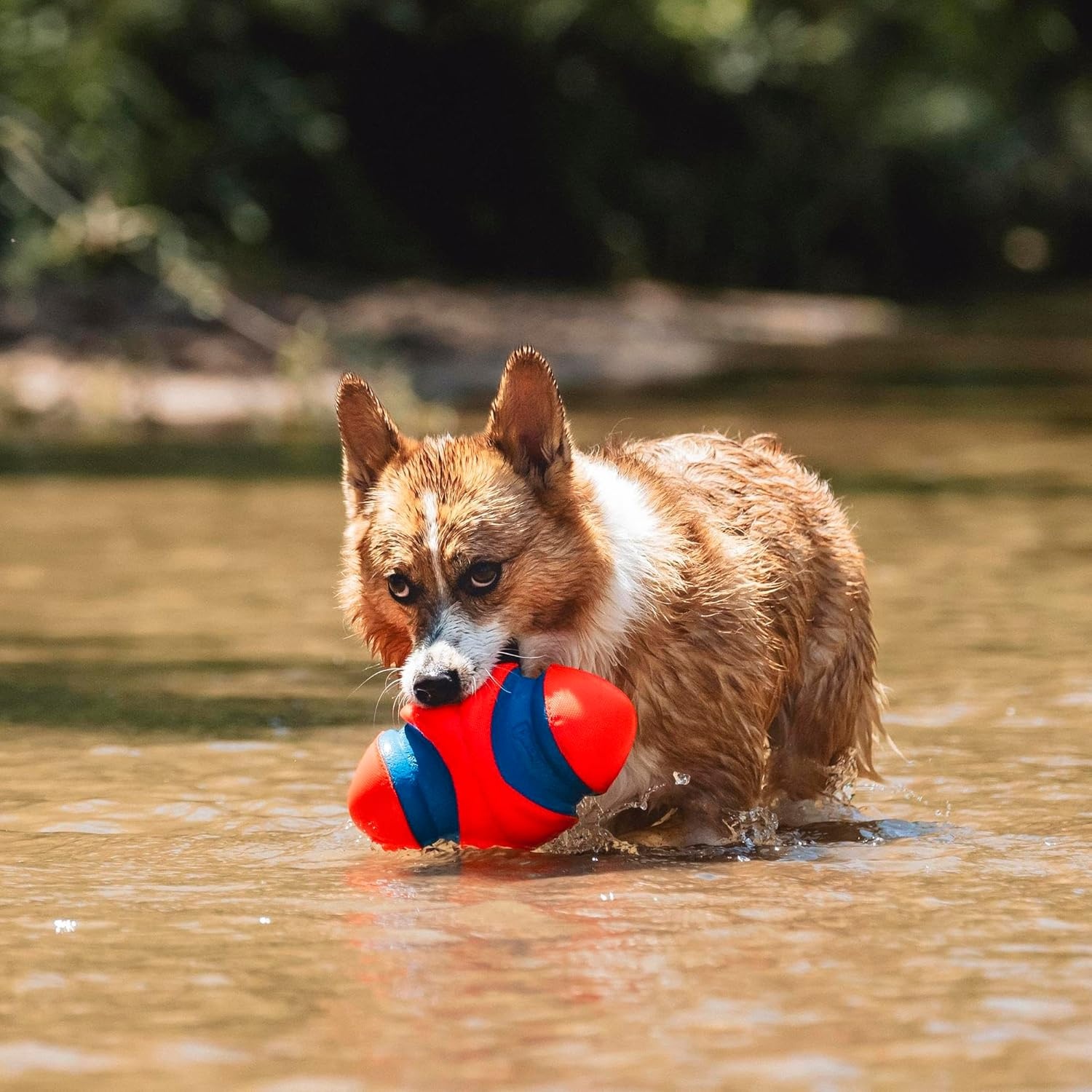 image:imageChuckit Fumble Fetch Dog Football Outdoor and Indoor Interactive Dog Toy with Grooved Design for Easy Pickup Made from Durable Rubber Floats in Water Small Orange and BlueSmall