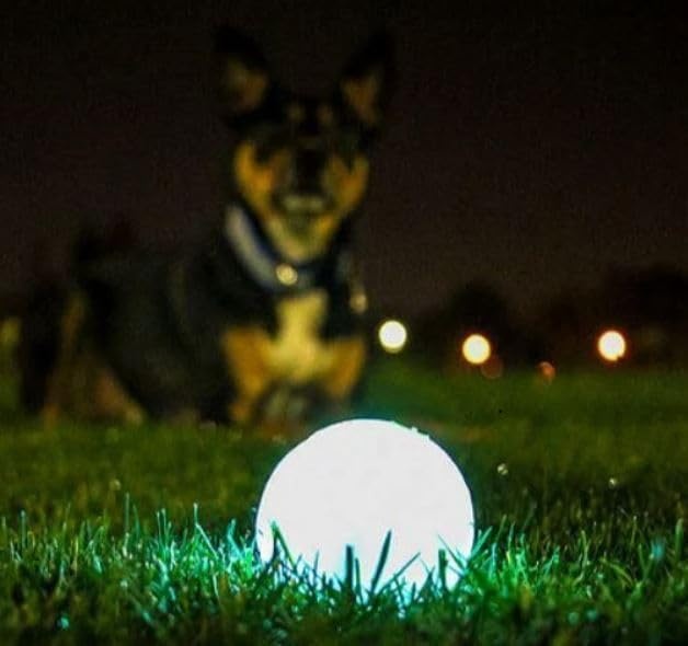image:imageChuckit Glow in the Dark Bouncy Balls Ball for Dogs Chuckit Dog Toy Max Glow Balls Small 2 Inch Pack of 1ExtraLarge