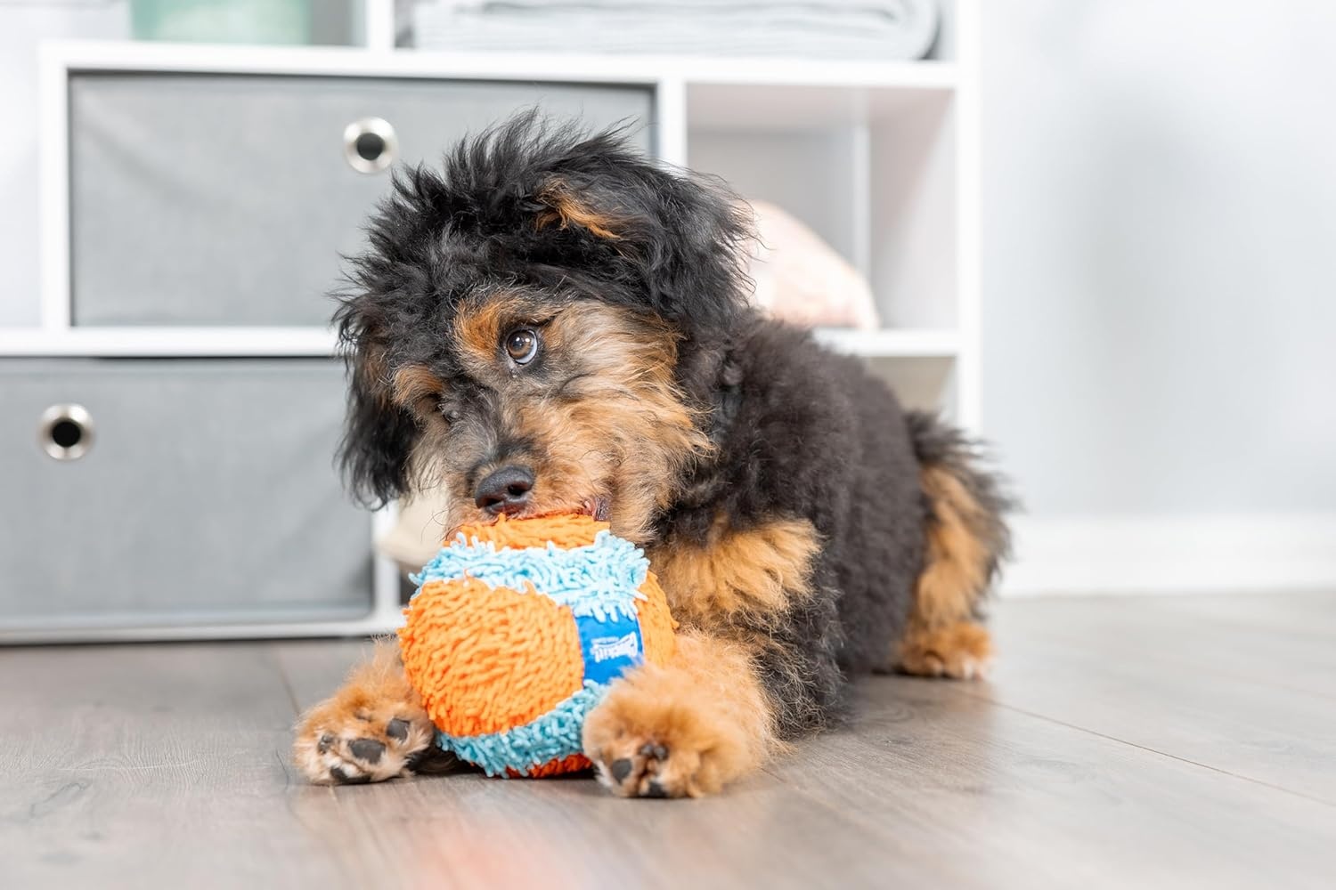 image:imageChuckit Indoor Fetch Ball Dog Toy for Dogs Interactive Dog Toys for Boredom 475 Inch Orange and BlueOrange Blue Fetch Ball