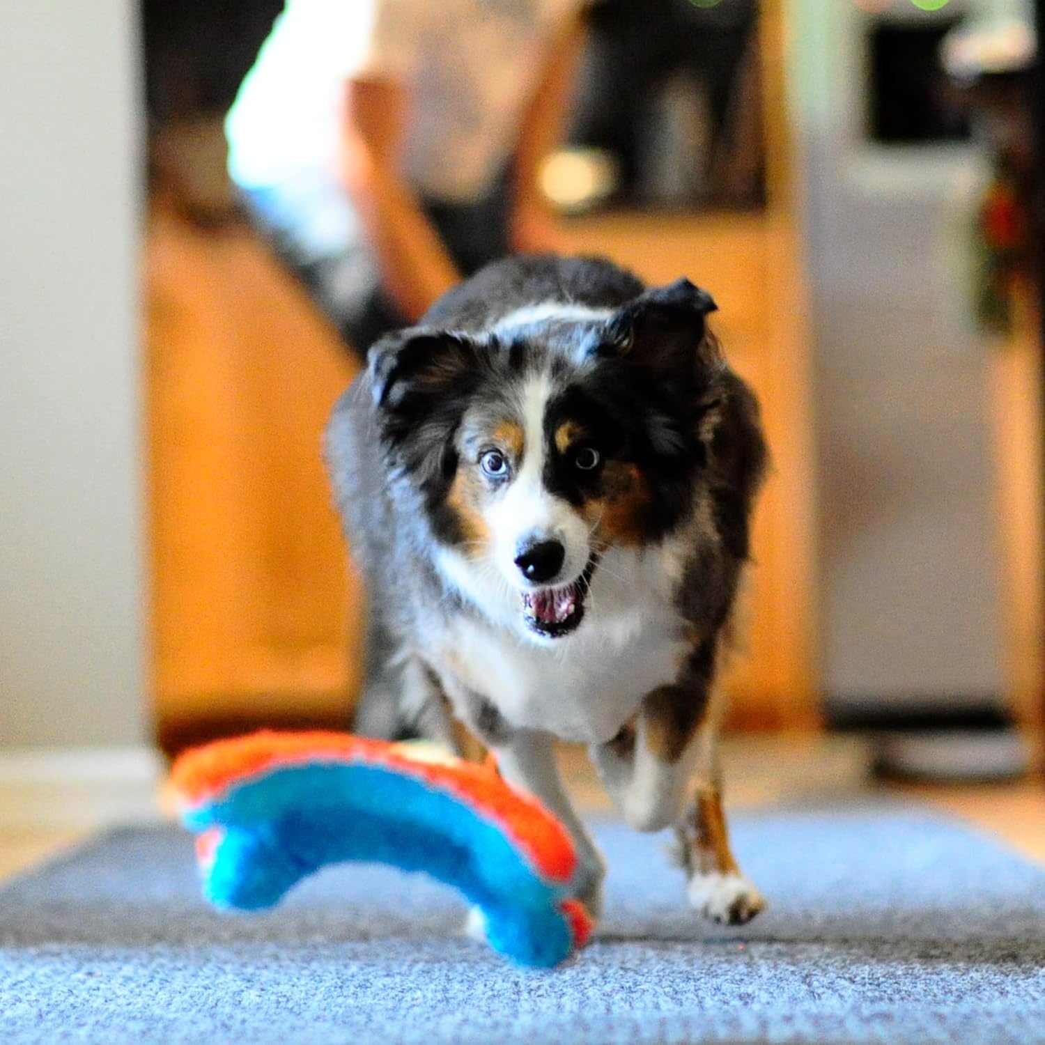 image:imageChuckit Indoor Fetch Ball Dog Toy for Dogs Interactive Dog Toys for Boredom 475 Inch Orange and BlueOrange Blue Fumbler