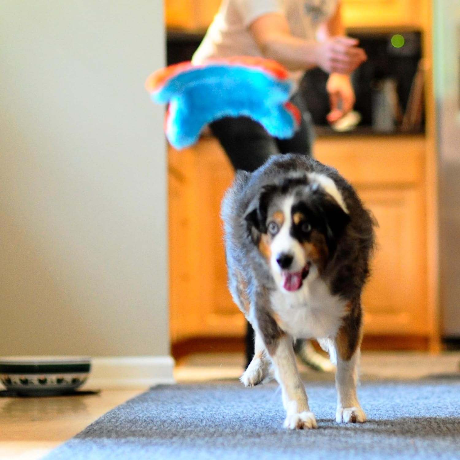 image:imageChuckit Indoor Fetch Ball Dog Toy for Dogs Interactive Dog Toys for Boredom 475 Inch Orange and BlueOrange Blue Fumbler