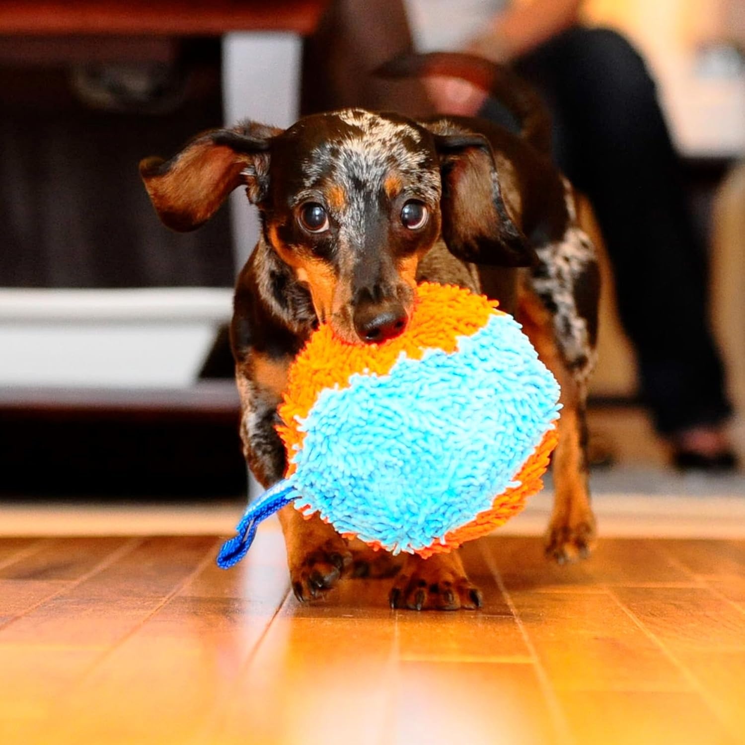 image:imageChuckit Indoor Fetch Ball Dog Toy for Dogs Interactive Dog Toys for Boredom 475 Inch Orange and BlueOrange Blue Shaker
