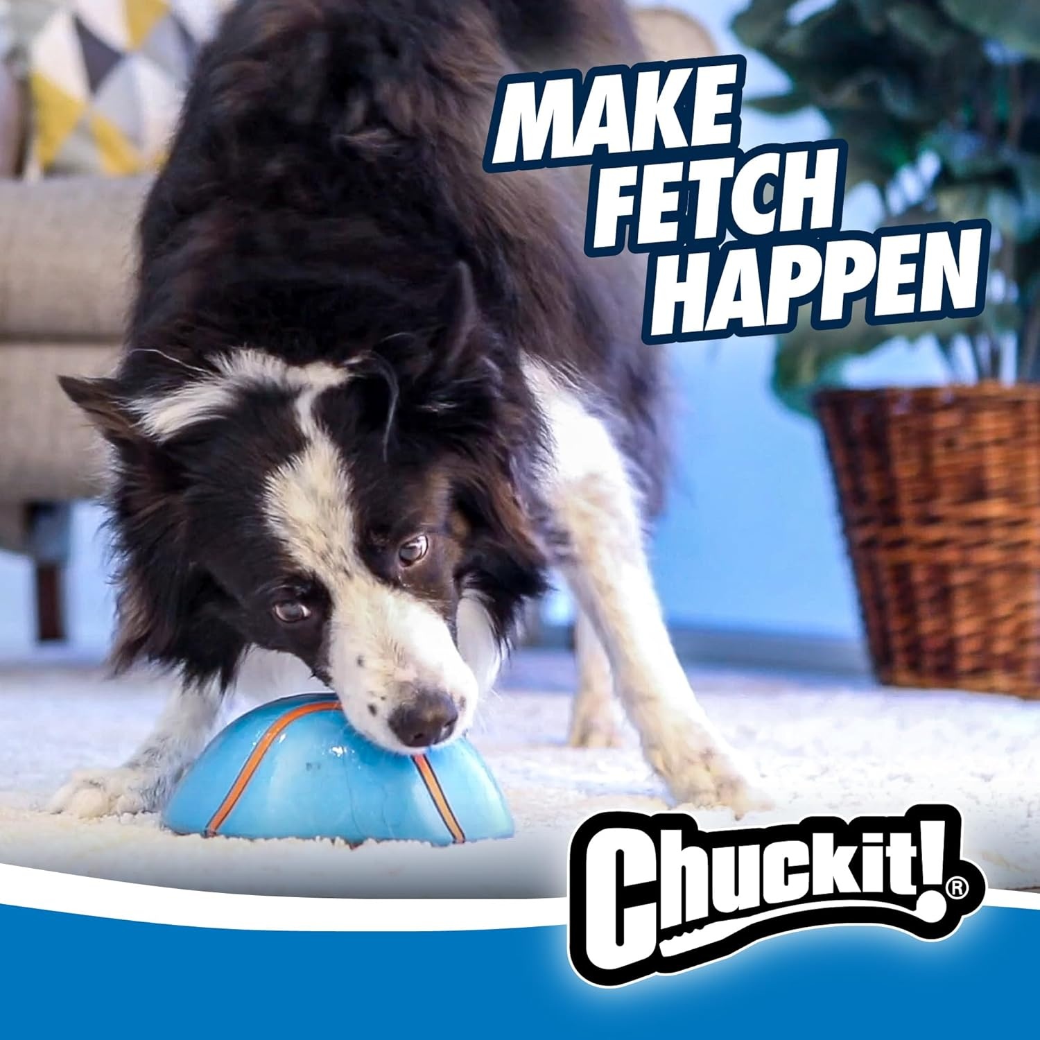 image:imageChuckit Indoor Super Slider SelfFetch Squeaky Toy for Dogs Glides Harmlessly On Most Surfaces Fun Dog Toys to Keep Them Busy For Small Medium and Large Breeds Durable Rubber1 Count Pack of 1