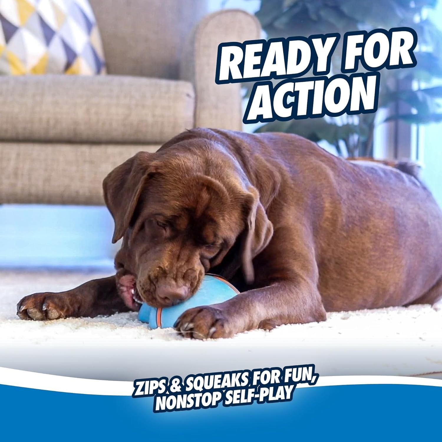 image:imageChuckit Indoor Super Slider SelfFetch Squeaky Toy for Dogs Glides Harmlessly On Most Surfaces Fun Dog Toys to Keep Them Busy For Small Medium and Large Breeds Durable Rubber1 Count Pack of 1