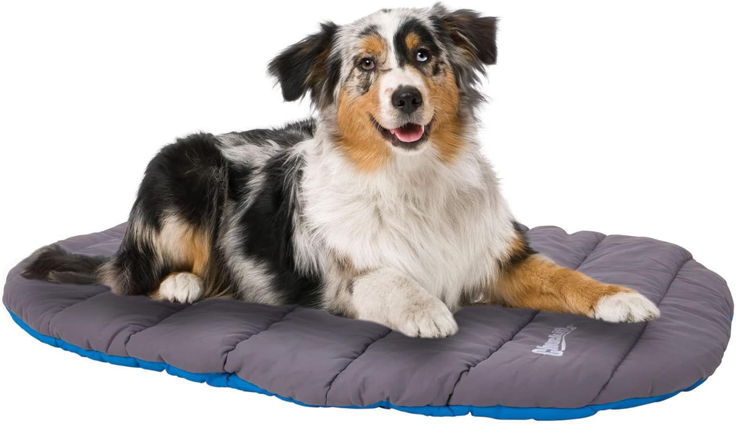 image:imageChuckit Outdoor Travel Portable Water Resistant Travel Pillow Dog Bed For Medium to Large Dogs 20 to 100 lbs 39L x 30W Blue