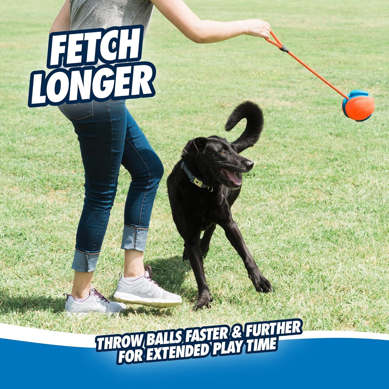 image:imageChuckit Rope Fetch Dog Toy Ball on Rope Fetch and TugofWar Toy for Dogs Durable EVA Rubber Construction 55inch Diameter 18inch Rpe Orange and BlueOne Size