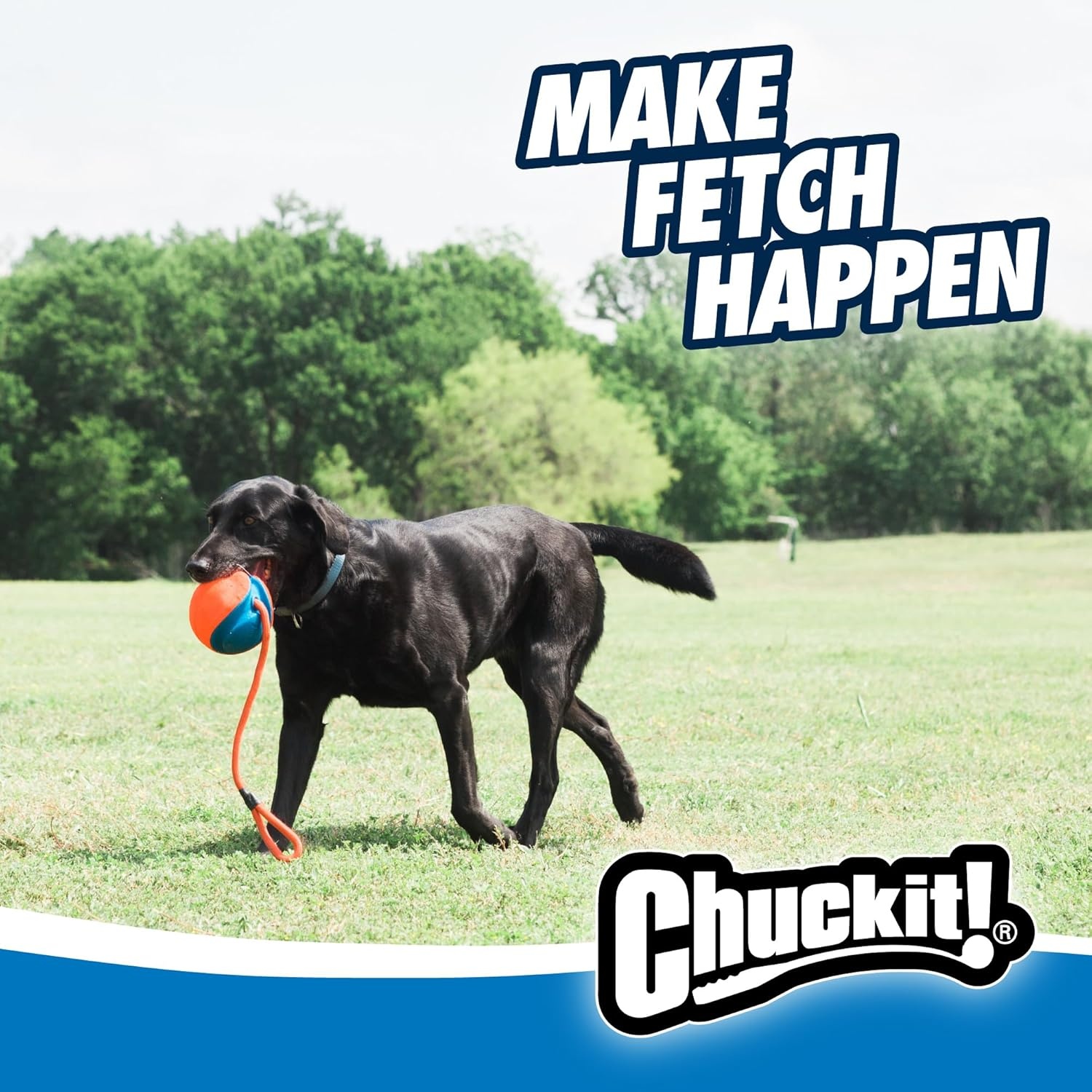 image:imageChuckit Rope Fetch Dog Toy Ball on Rope Fetch and TugofWar Toy for Dogs Durable EVA Rubber Construction 55inch Diameter 18inch Rpe Orange and BlueOne Size