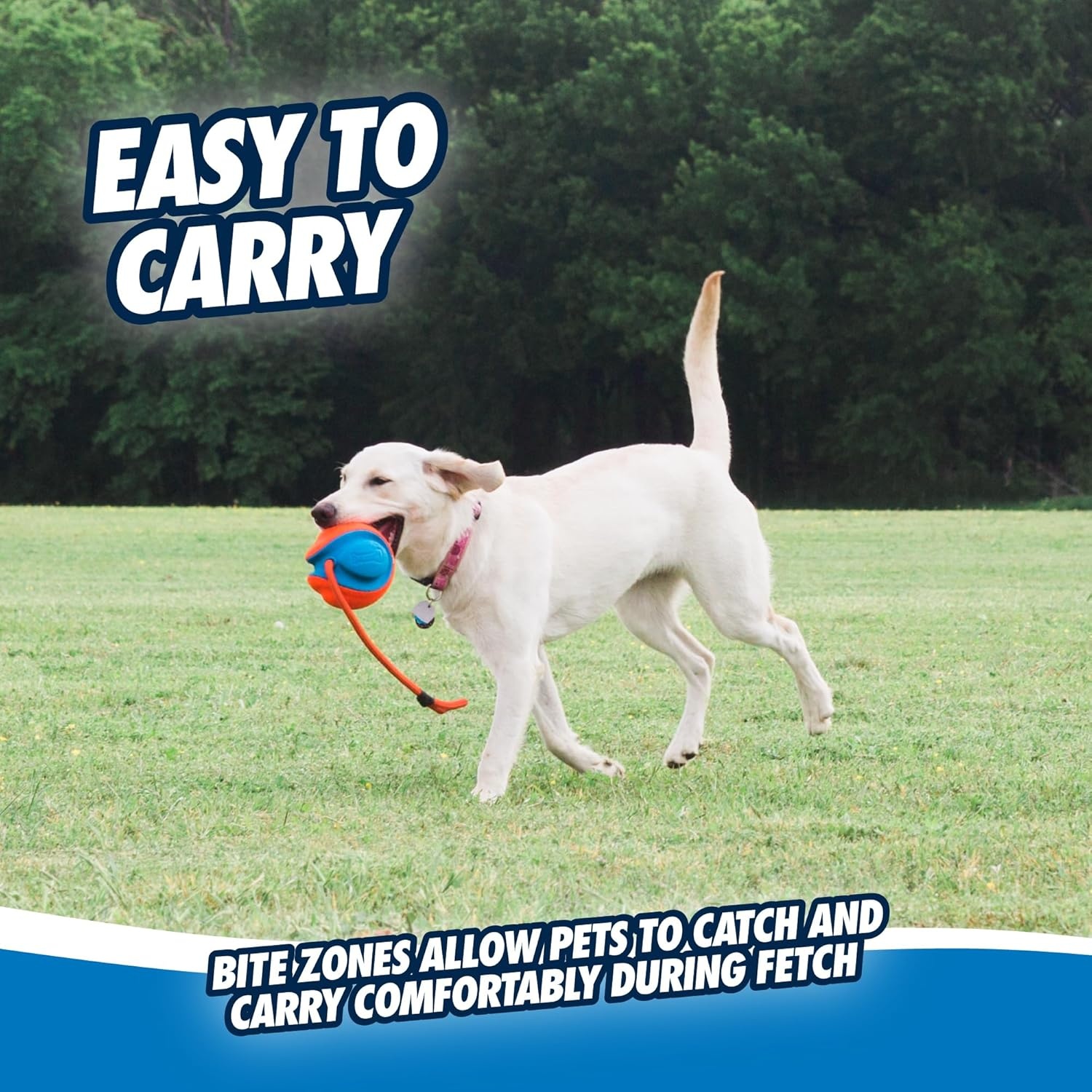 image:imageChuckit Rope Fetch Dog Toy Ball on Rope Fetch and TugofWar Toy for Dogs Durable EVA Rubber Construction 55inch Diameter 18inch Rpe Orange and BlueOne Size