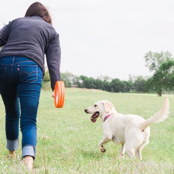 image:imageChuckit Rugged Fetch Wheel Dog Toy Medium