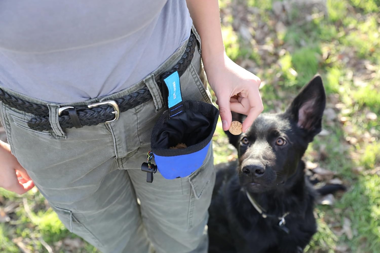 image:imageChuckit Treat Tote Dog Treat Pouch for Puppy Training 1 Cup Capacity Assorted Colors1 Cup
