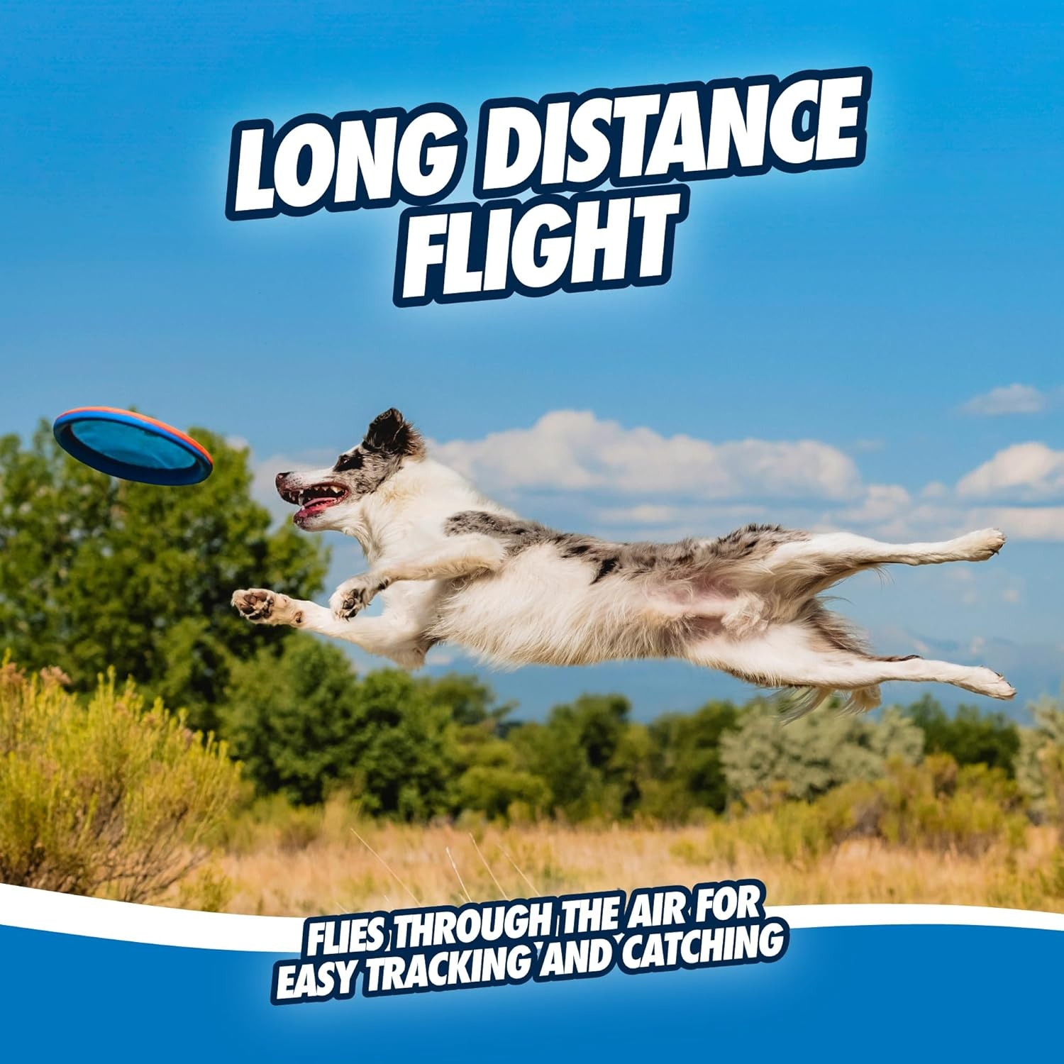 image:imageChuckit Max Glow Paraflight Flying Disc Dog Toy Water Floating Flyer Durable Nylon Construction with Soft Rubber Edges For Medium and Large Dogs Size Large 975 L x 975 W Pack of 1GreenMax Glow