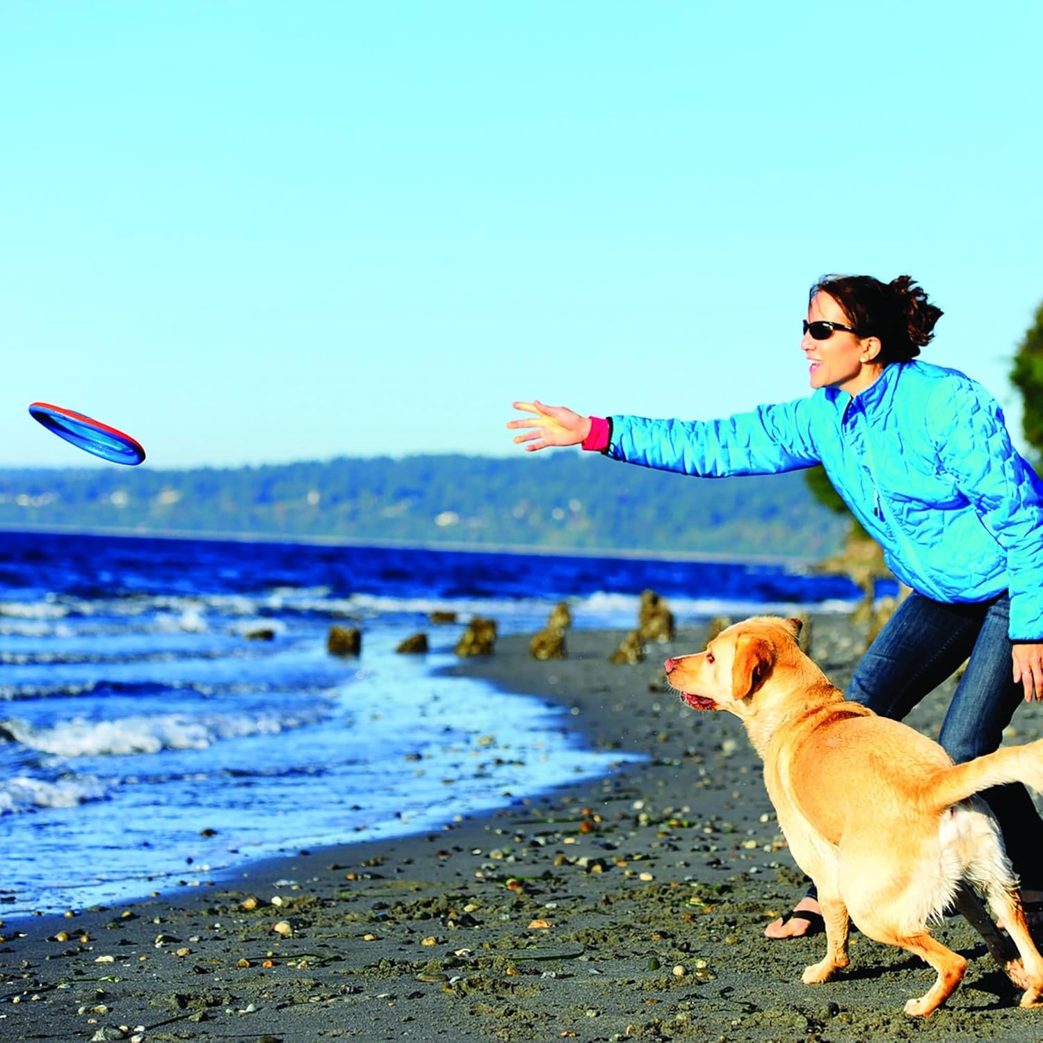 image:imageChuckit Max Glow Paraflight Flying Disc Dog Toy Water Floating Flyer Durable Nylon Construction with Soft Rubber Edges For Medium and Large Dogs Size Large 975 L x 975 W Pack of 1BlueOrange
