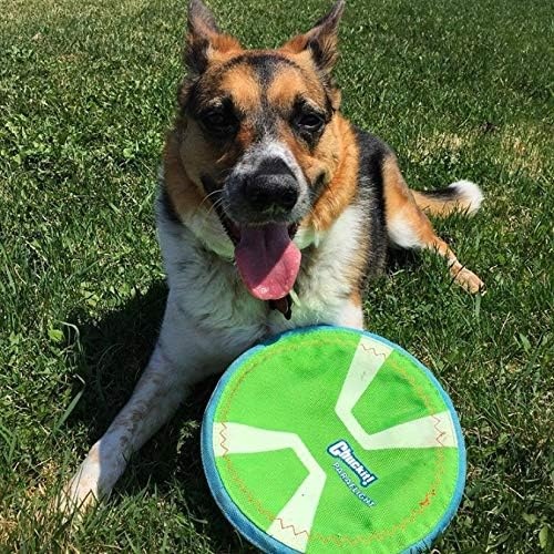 image:imageChuckit Max Glow Paraflight Flying Disc Dog Toy Water Floating Flyer Durable Nylon Construction with Soft Rubber Edges For Medium and Large Dogs Size Large 975 L x 975 W Pack of 1GreenMax Glow