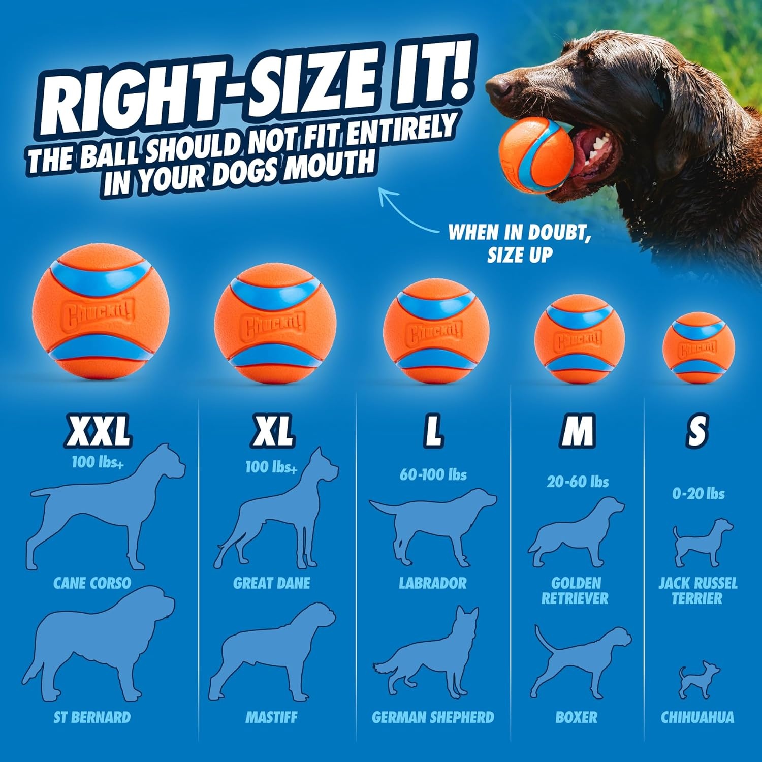 image:imageChuckit Pro Fetch Toy Dog Ball Launcher For Dogs Compatible With Any Medium Chuckit Medium Size 25 Inch Glow Ball25in