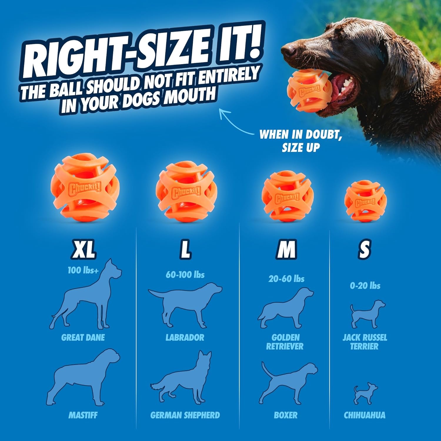 image:imageChuckit Air Fetch Ball Dog Toy Small 2 Inch Diameter for dogs 020 lbs Pack of 2Ball Large