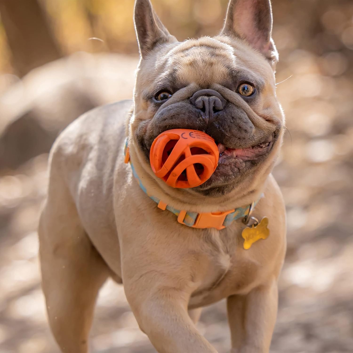 image:imageChuckit Air Fetch Ball Dog Toy Small 2 Inch Diameter for dogs 020 lbs Pack of 2Ball Small