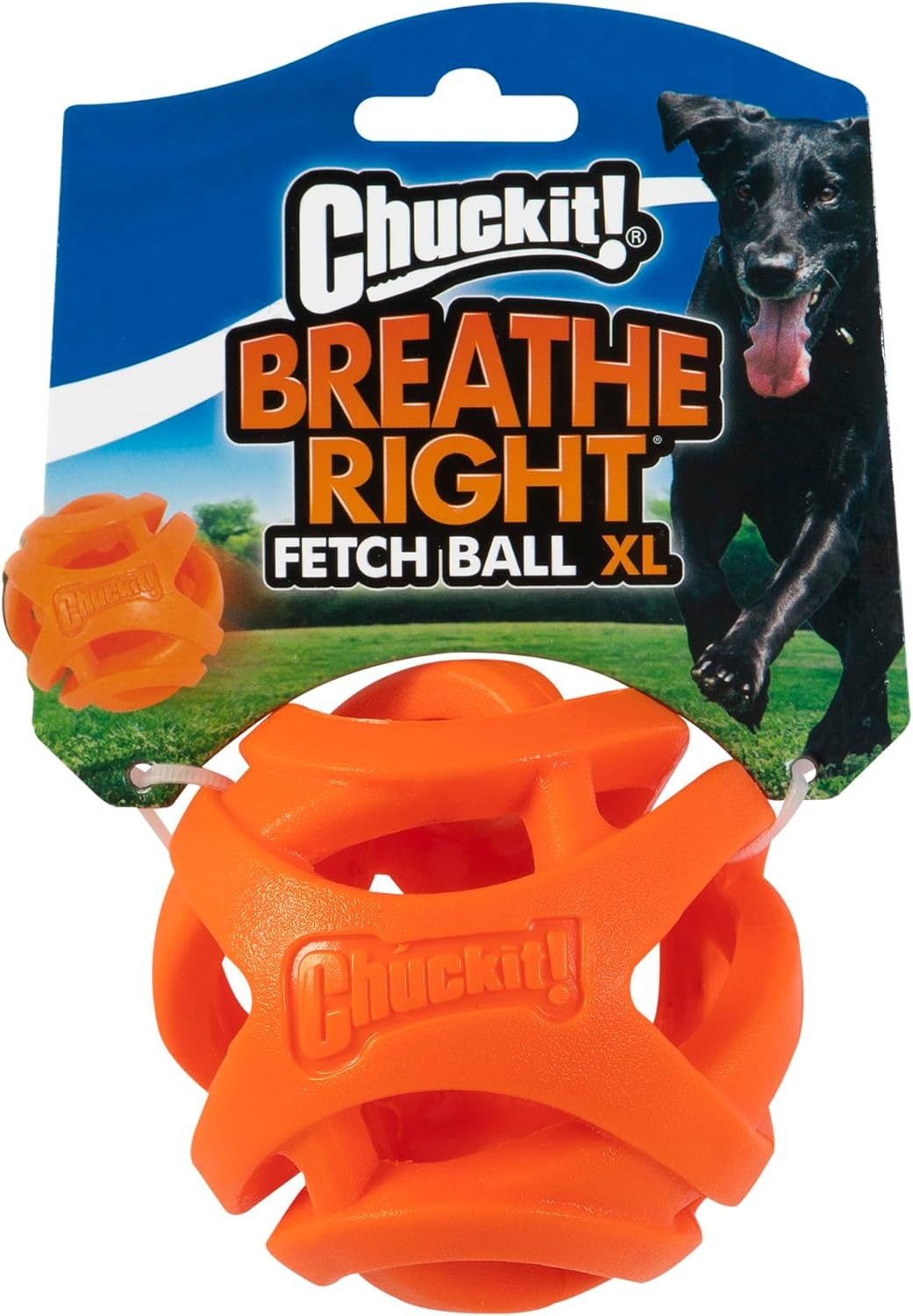 image:imageChuckit Air Fetch Ball Dog Toy Small 2 Inch Diameter for dogs 020 lbs Pack of 2Ball XLarge