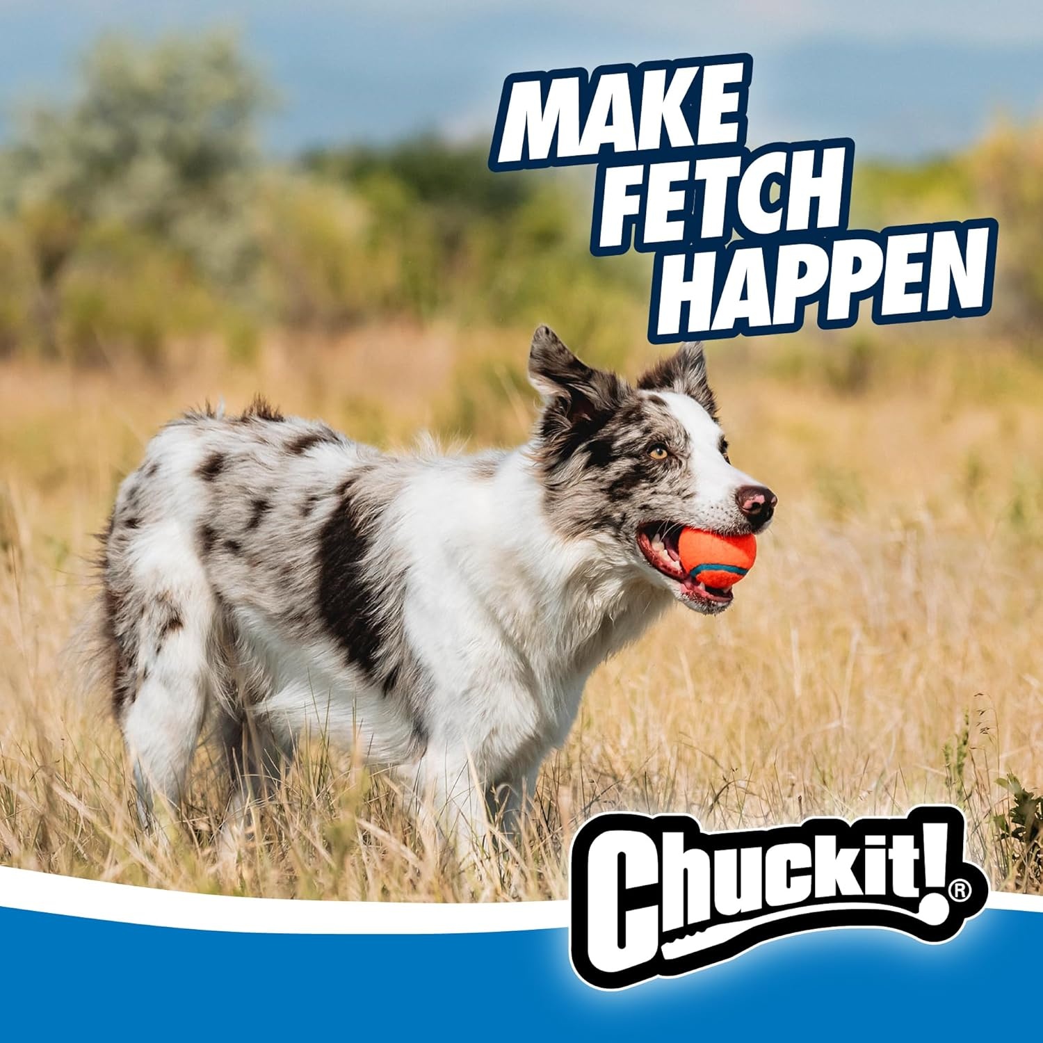 image:imageChuckit Classic 26M Dog Ball Launcher 26 Long Handle Compatible with Medium 25 Balls Pet Fetch Thrower Toys For Dogs 2060 Pounds Made in USA Comes with 1 Medium Ultra DogBallClassic 2pk Ball