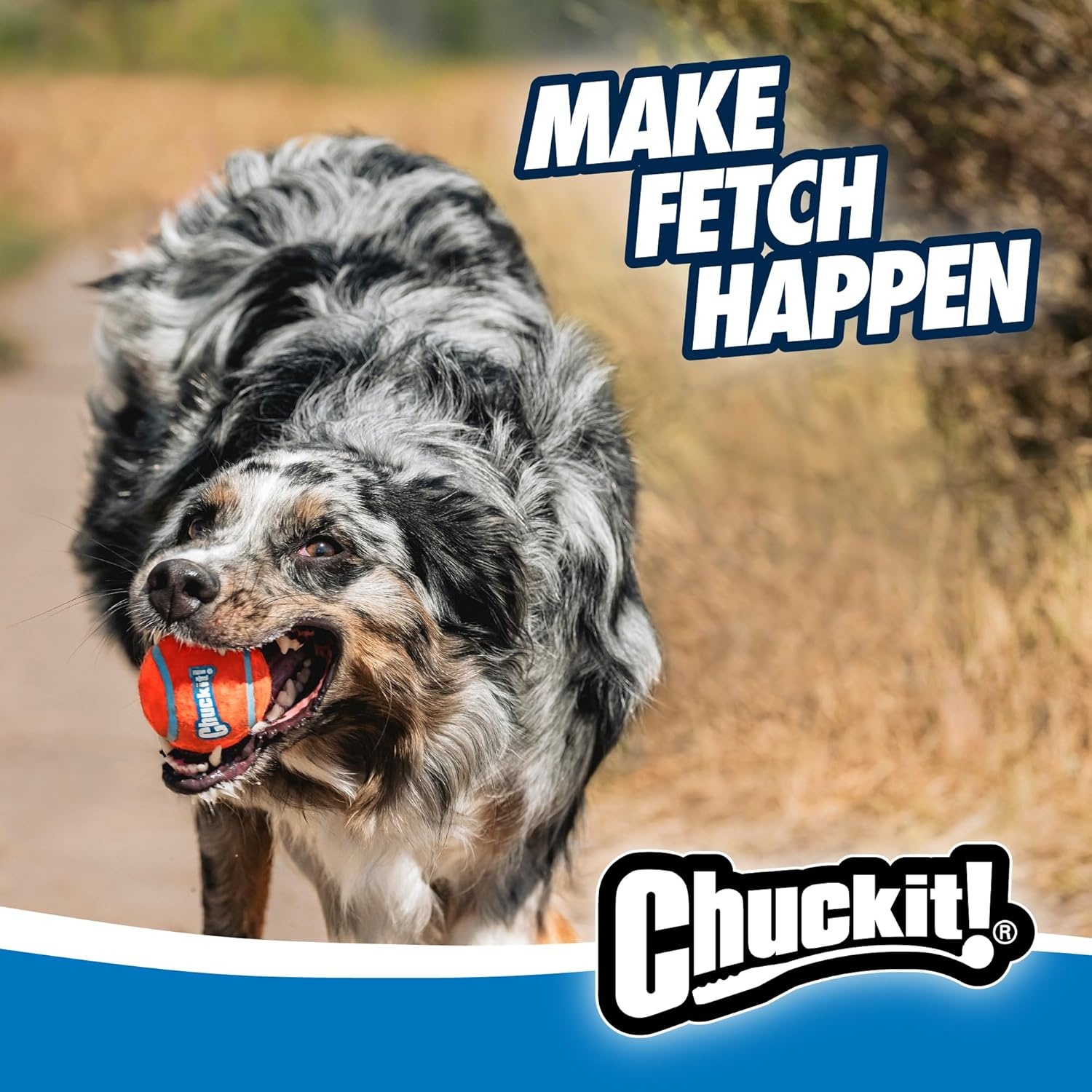 image:imageChuckit Dog Ball Launcher Pro 25 with Medium 25 Dog Fetch Ball Thrower For Dogs 2060 Pounds Made in USASport