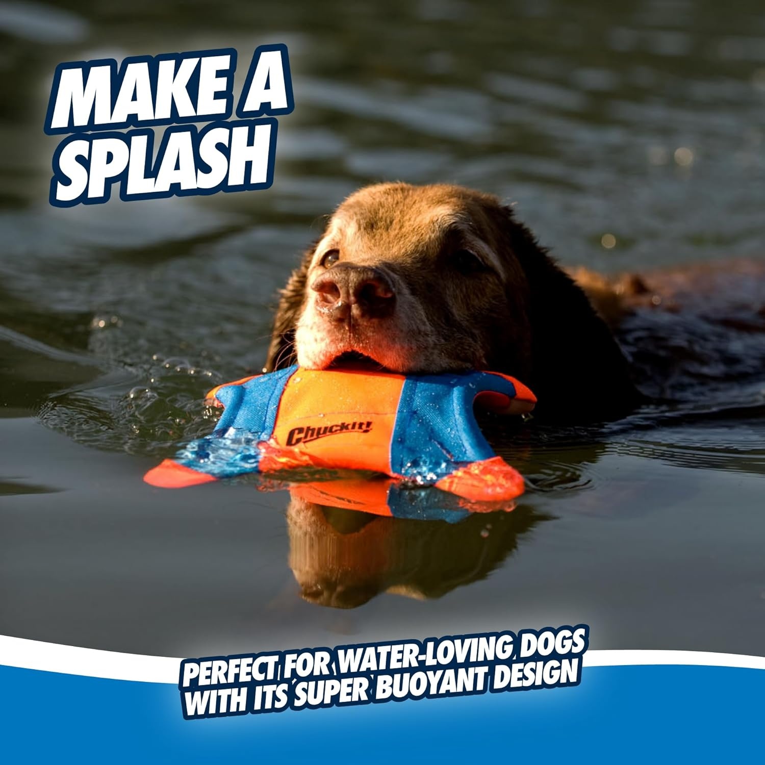 image:imageChuckit Flying Squirrel Fetch Dog Toy Water Floating Flyer Soft and Durable Polyester Canvas Construction For Medium Dogs Size Medium 95inch Diameter Pack of 1 Orange and BlueLarge