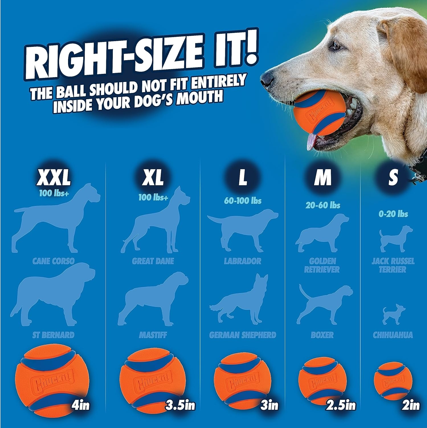 image:imageChuckit Sport 18M Dog Ball Launcher 18 Length Includes Medium Ball 25 For Dogs 2060 Pounds25in
