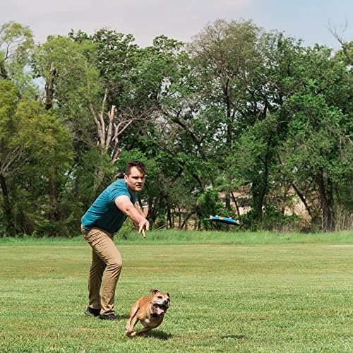 image:imageChuckit Whistle Flight Outdoor Dog Fetch Toy OrangeBlue 106 x 12 x 111 For Medium to Large Dogs