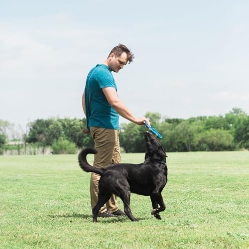 image:imageChuckit Whistle Flight Outdoor Dog Fetch Toy OrangeBlue 106 x 12 x 111 For Medium to Large Dogs