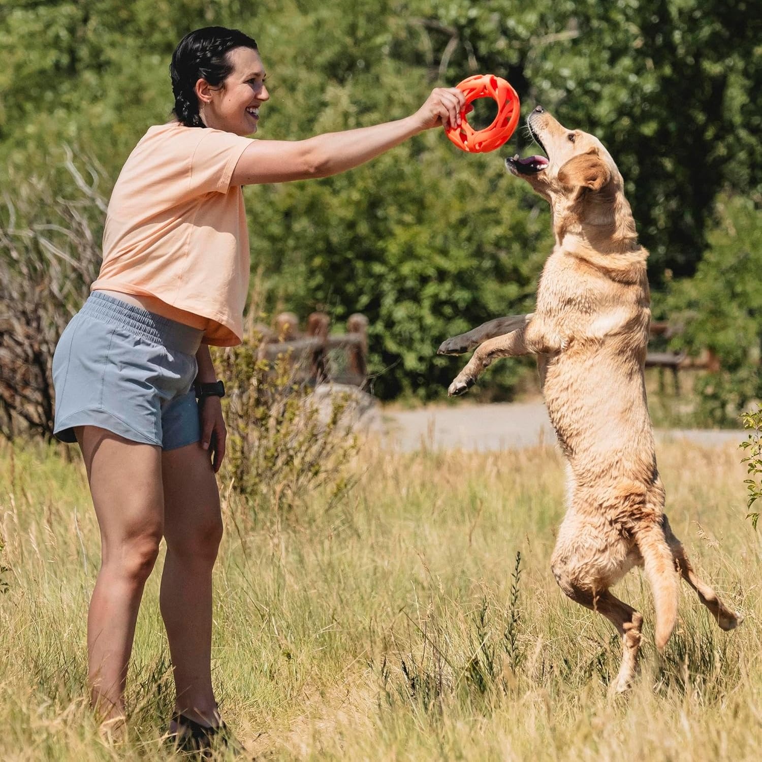 image:imageChuckit Air Fetch Ball Dog Toy Medium 25 Inch Diameter for dogs 2060 lbs Pack of 2Fetch Wheel