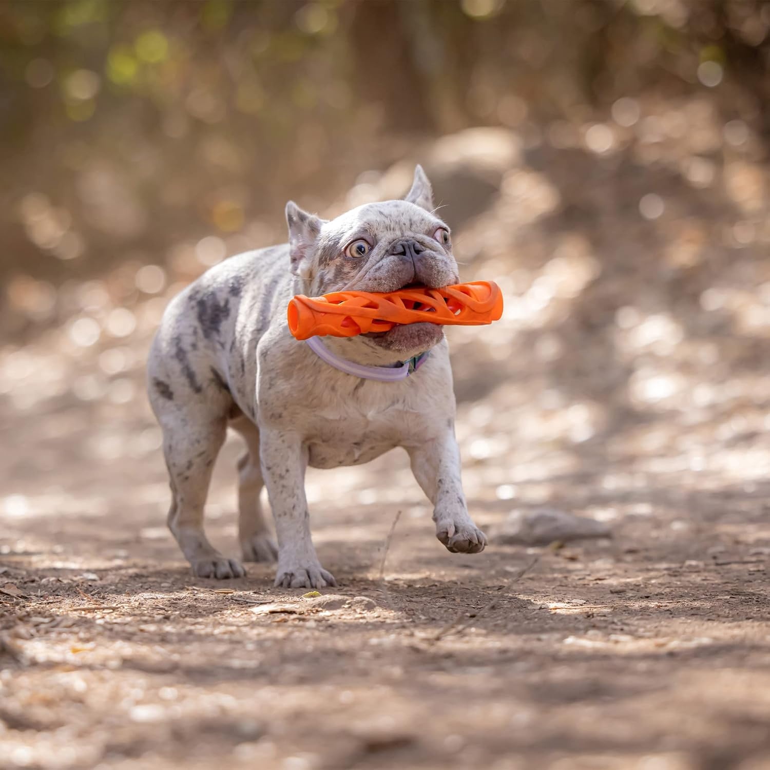 image:imageChuckit Air Fetch Stick Dog Toy Small OrangeLarge