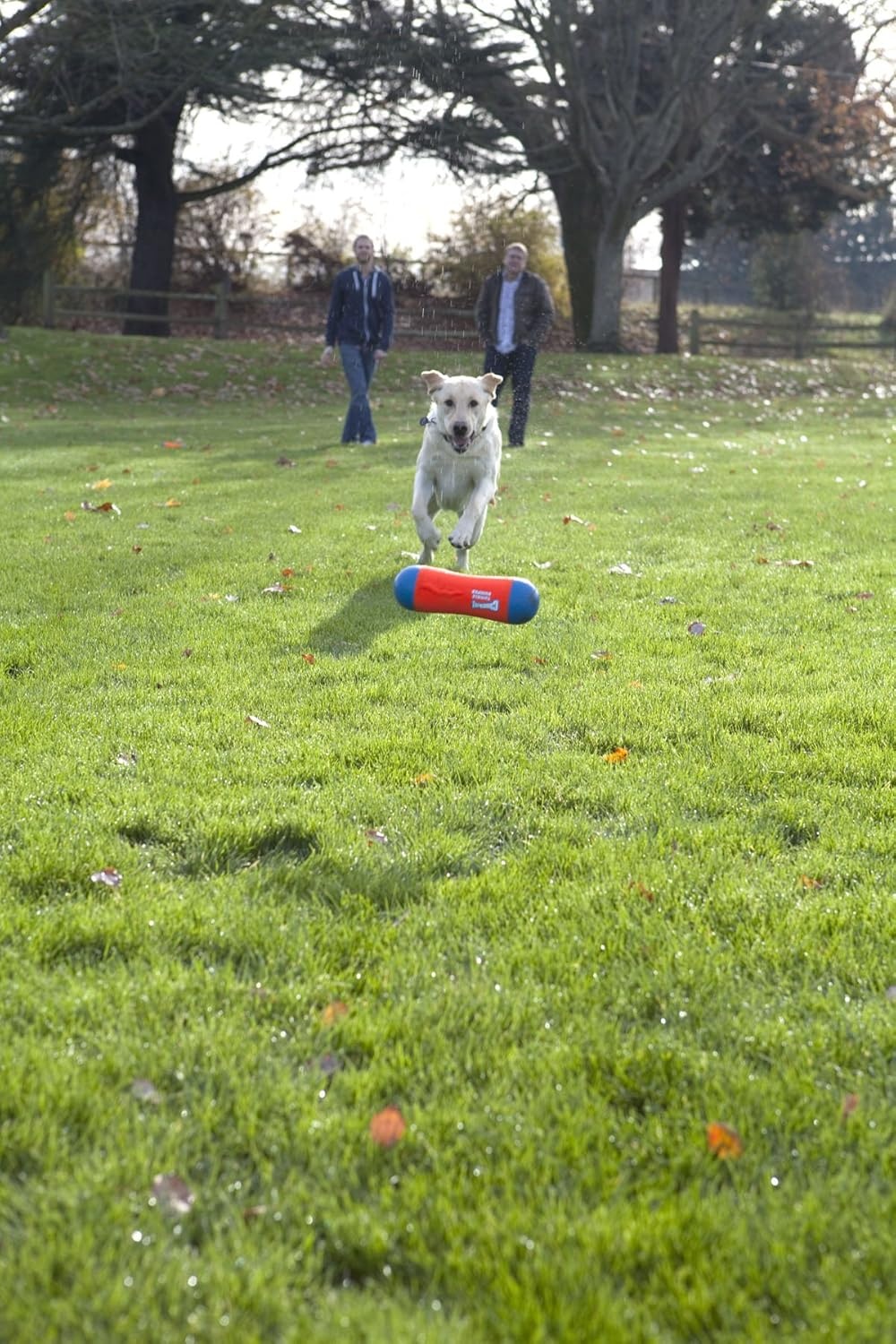 image:imageChuckit Amphibious Tumble Bumper Dog Toy Floats on waterLargeMedium