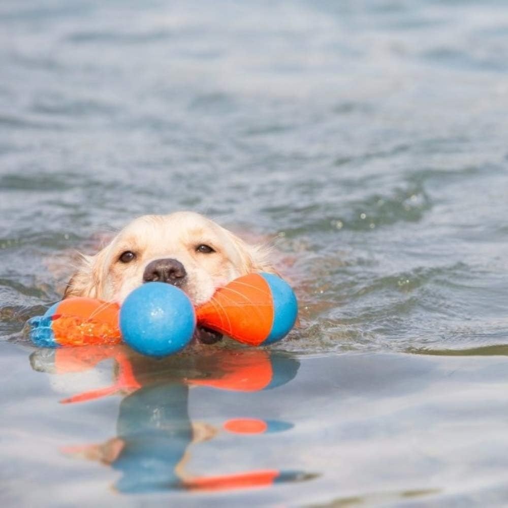 image:imageChuckit Amphibious Tumble Bumper Dog Toy Floats on waterLargeMedium
