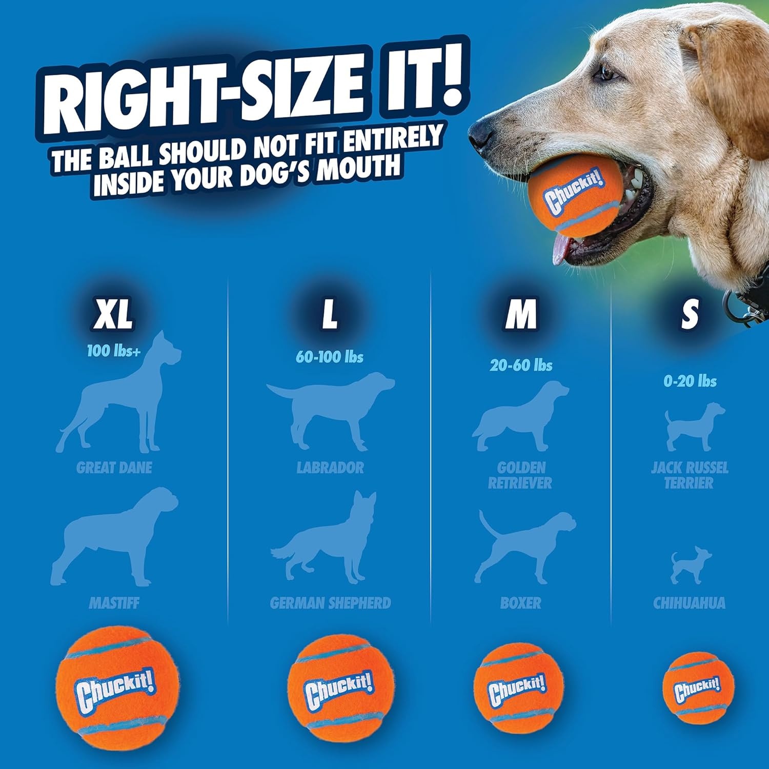 image:imageChuckit Dog Tennis Ball Dog Toy Medium 25 Inch Diameter for dogs 2060 lbs Pack of 2Medium Pack of 4