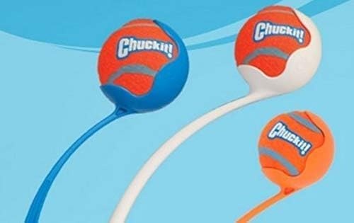 image:imageChuckit Dog Tennis Ball Dog Toy Medium 25 Inch Diameter for dogs 2060 lbs Pack of 2Small Pack of 2