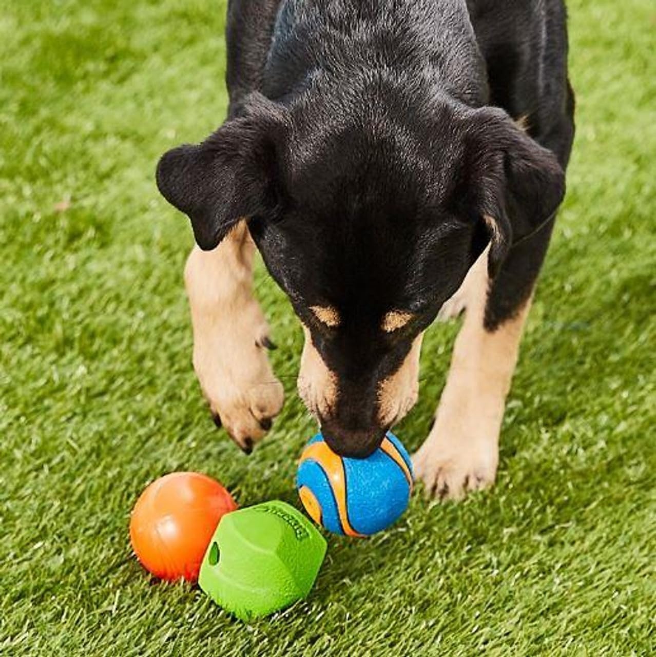 image:imageChuckit Gen 1 Fetch Pack Dog Balls Interactive Dog Toys HighBounce Fetch Ball Floating Ultra and Rugged Balls Durable Size Medium 25inch Diameter Set of 3Medium 25