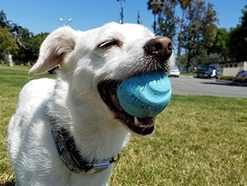 image:imageChuckit Gen 1 Fetch Pack Dog Balls Interactive Dog Toys HighBounce Fetch Ball Floating Ultra and Rugged Balls Durable Size Medium 25inch Diameter Set of 3Medium 25