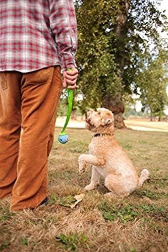 image:imageChuckit Gen 1 Fetch Pack Dog Balls Interactive Dog Toys HighBounce Fetch Ball Floating Ultra and Rugged Balls Durable Size Medium 25inch Diameter Set of 3Medium 25