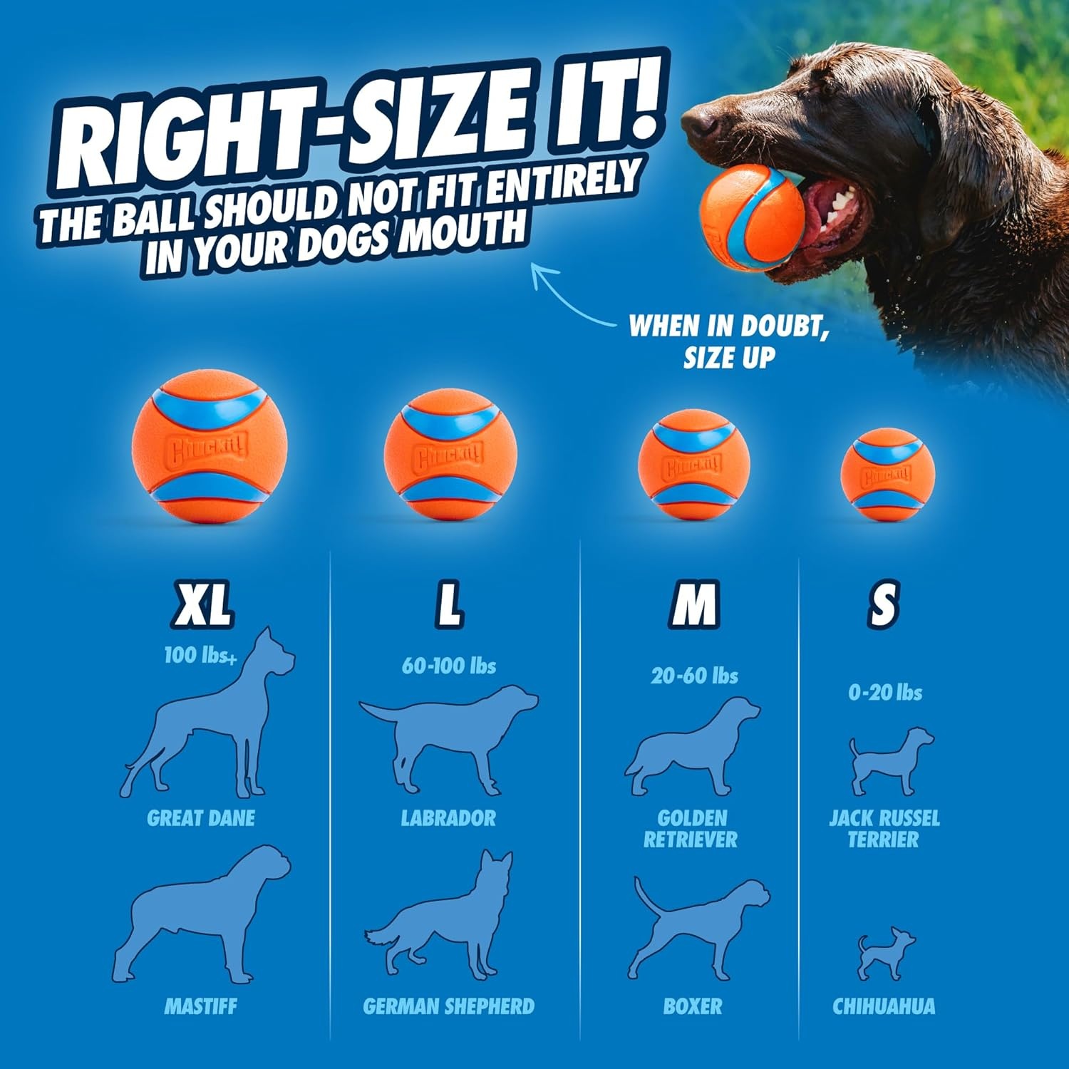 image:imageChuckit Gen 1 Fetch Pack Dog Balls Interactive Dog Toys HighBounce Fetch Ball Floating Ultra and Rugged Balls Durable Size Medium 25inch Diameter Set of 3Medium 25