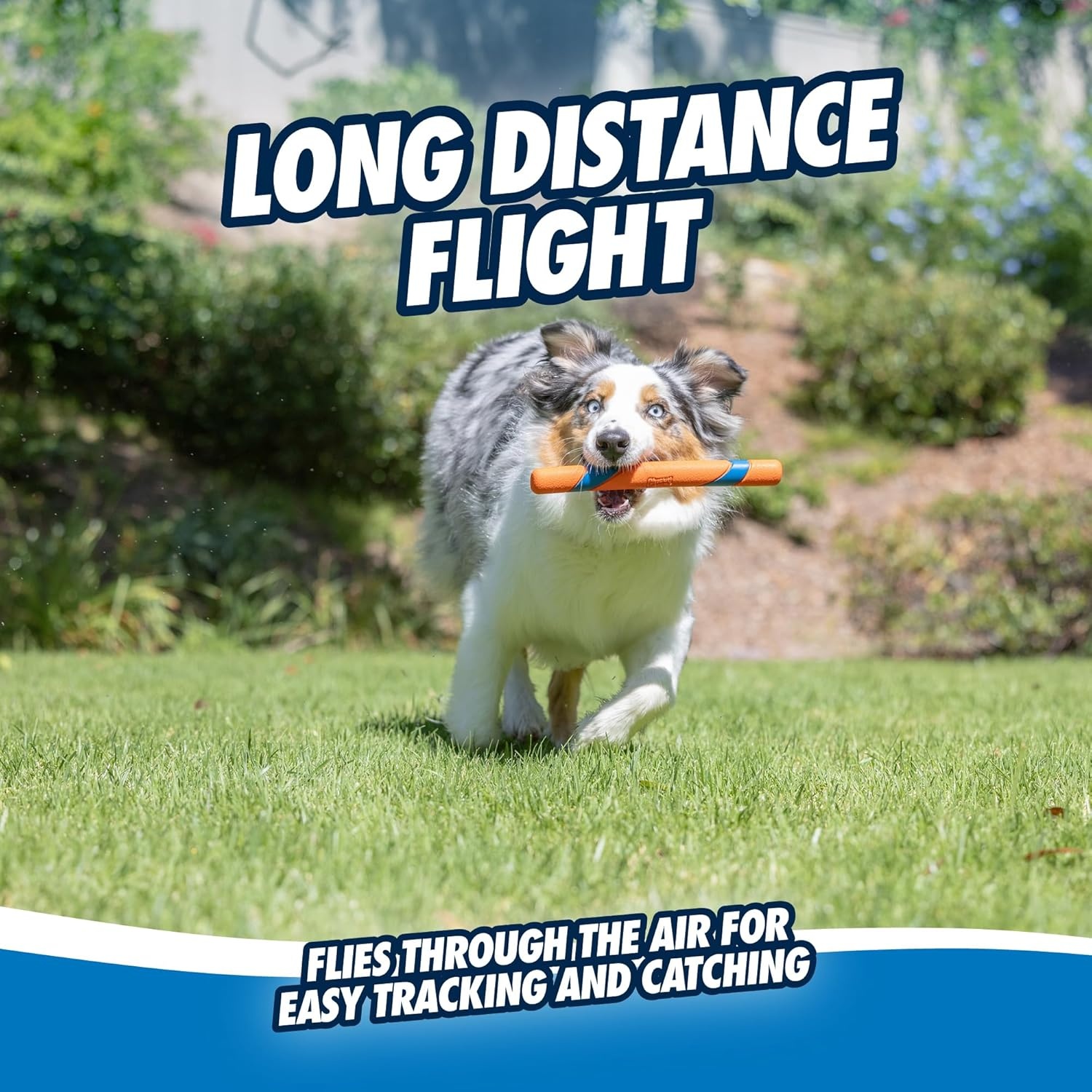 image:imageChuckit Interactive Dog Toy Ultra Fetch Stick 12 Inch Outdoor Dog Toy for All Breed SizesUltra Fetch