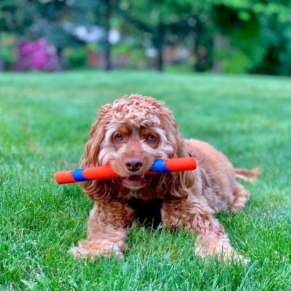 image:imageChuckit Interactive Dog Toy Ultra Fetch Stick 12 Inch Outdoor Dog Toy for All Breed SizesUltra Fetch