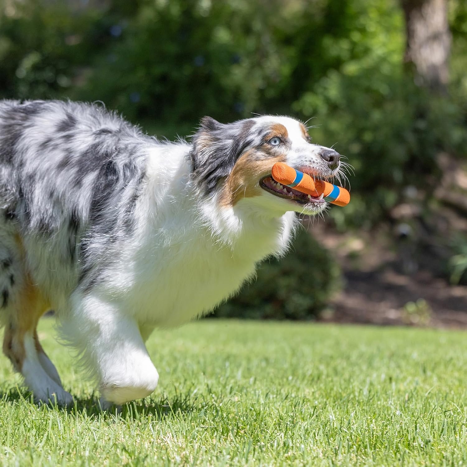 image:imageChuckit Max Glow Ultra Fetch Stick Outdoor Dog Toy 12 Inches for All Breed SizesDay n Night
