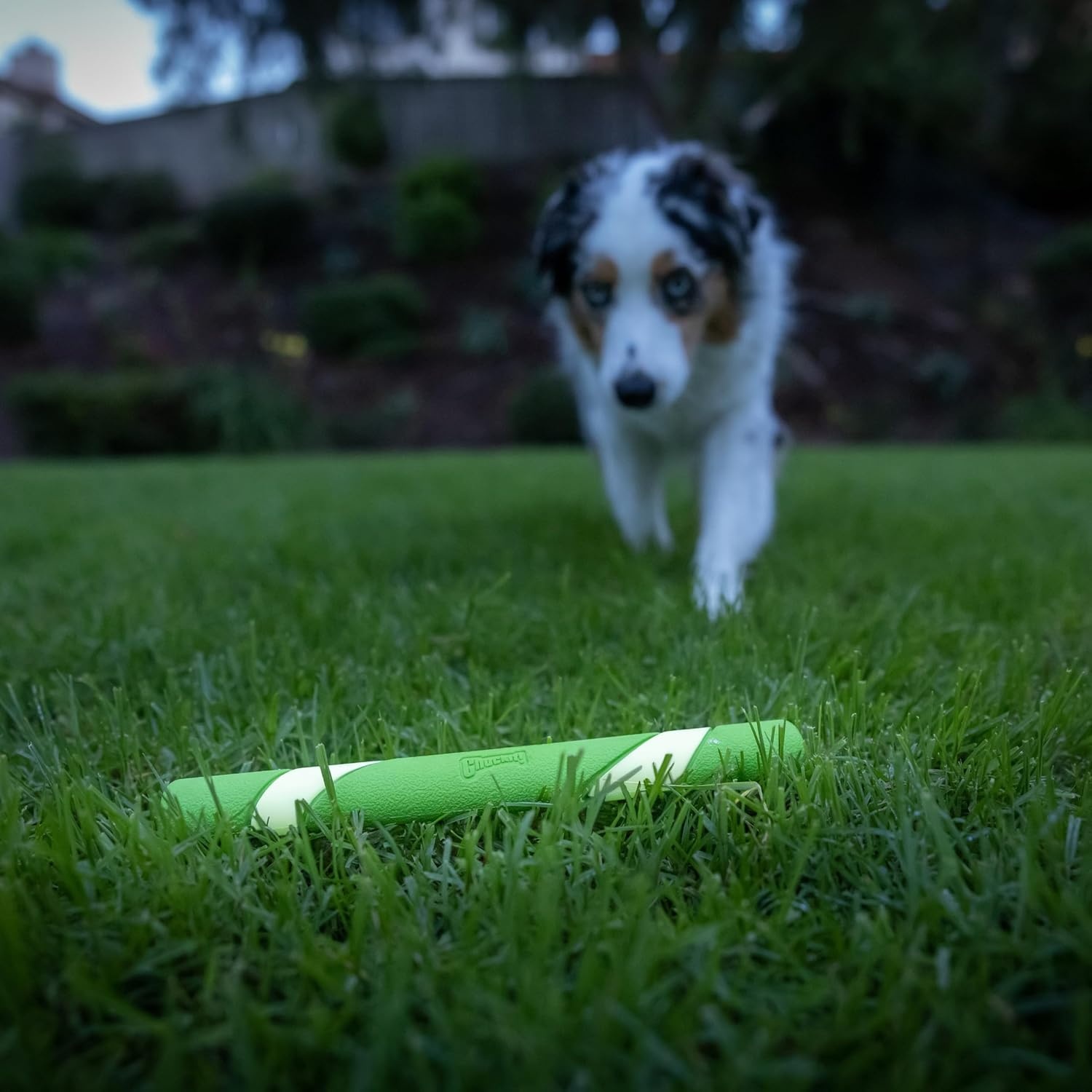 image:imageChuckit Max Glow Ultra Fetch Stick Outdoor Dog Toy 12 Inches for All Breed SizesMax Glow