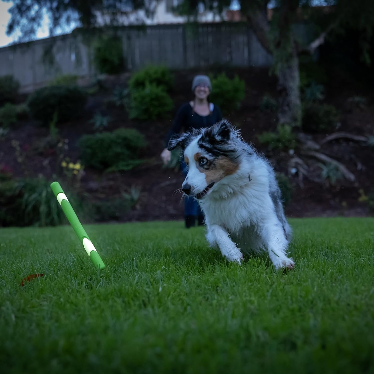 image:imageChuckit Max Glow Ultra Fetch Stick Outdoor Dog Toy 12 Inches for All Breed SizesMax Glow