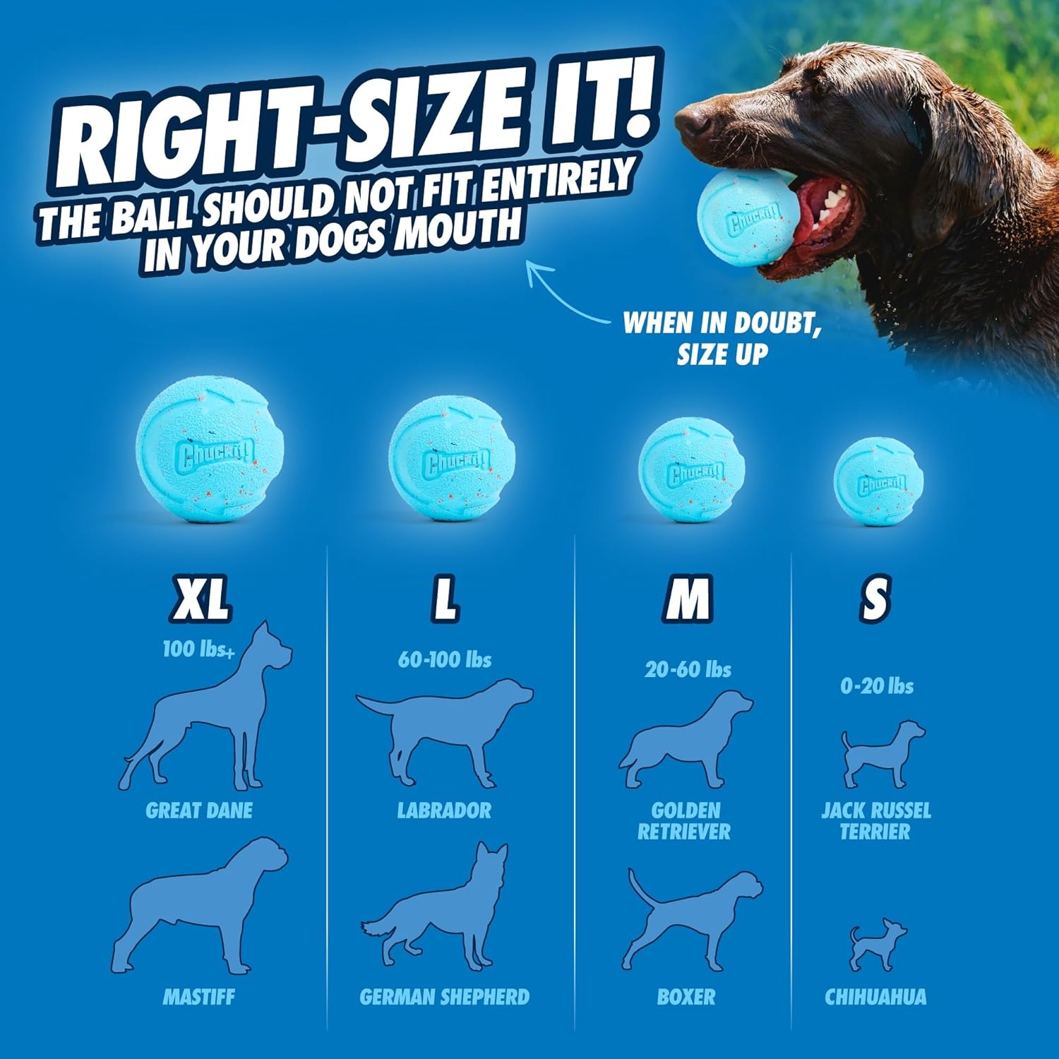 image:imageChuckit Rebounce Ball Dog Toy Bouncy Fetch Balls for Dogs 2060 lbs Made from Durable Rubber Outdoor Pet Toys Size Medium 25inch Diameter Pack of 2 BlueMedium