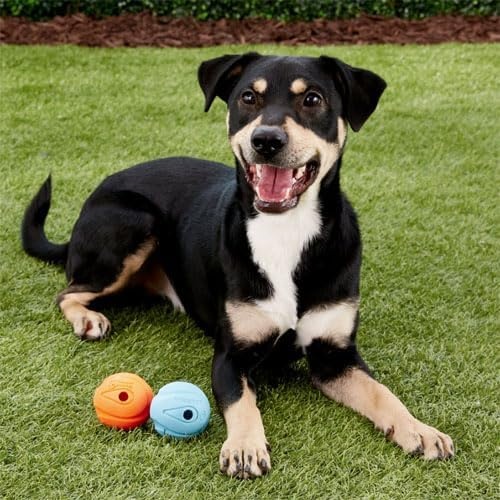 image:imageChuckit The Whistler Ball Dog Toy Medium 25 Inch Diameter for Dogs 2060 lbs Pack of 2 MulticolorLarge Pack of 1
