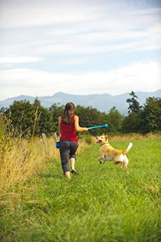 image:imageChuckit The Whistler Ball Dog Toy Medium 25 Inch Diameter for Dogs 2060 lbs Pack of 2 MulticolorLarge Pack of 1
