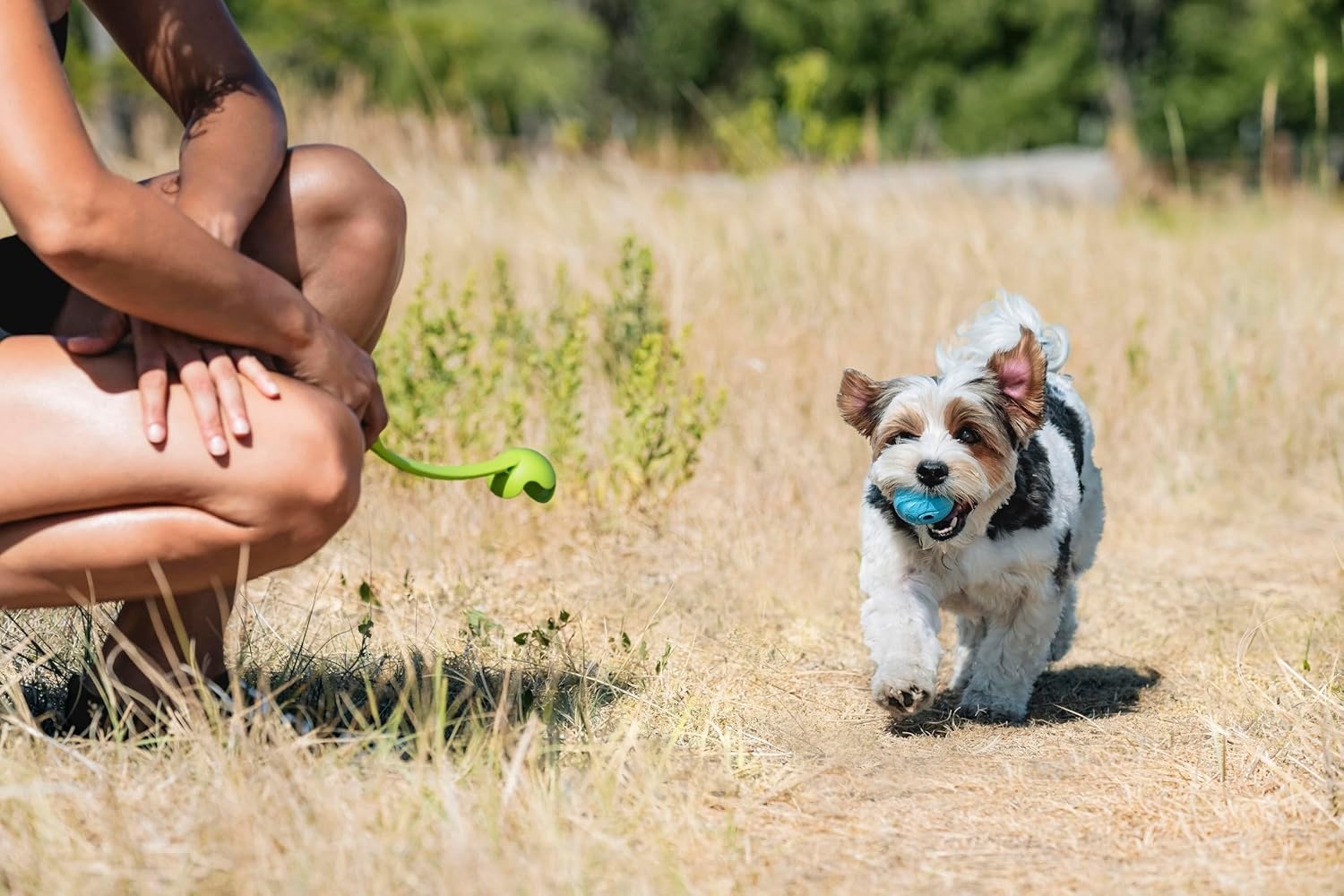 image:imageChuckit The Whistler Ball Dog Toy Small 2 Inch Diameter for Dogs 020 lbs Pack of 2Assorted