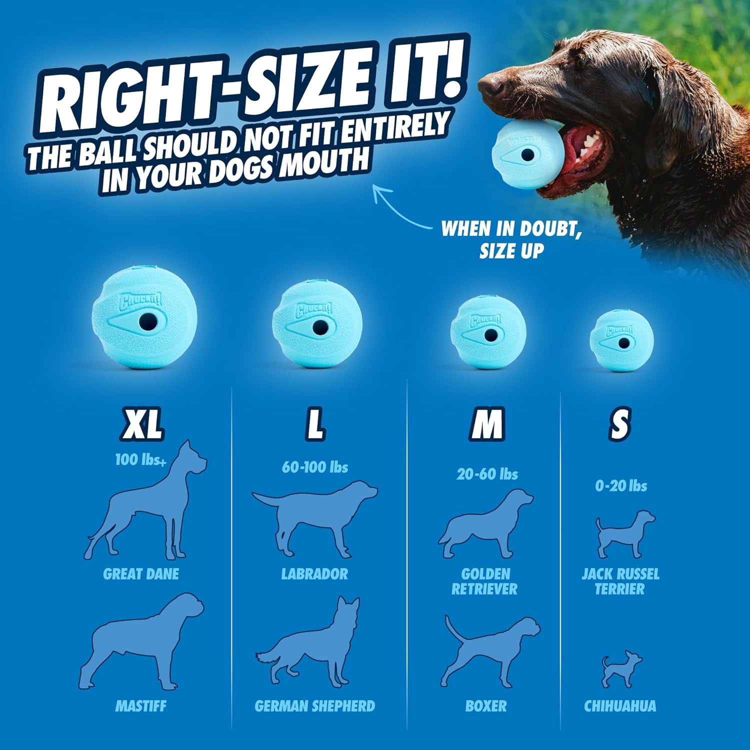 image:imageChuckit The Whistler Ball Dog Toy Small 2 Inch Diameter for Dogs 020 lbs Pack of 2Assorted